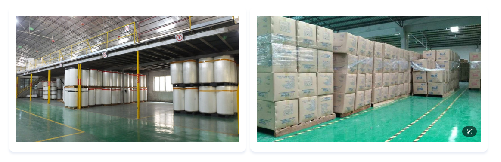 Hengxue Factory Tour | Inside Fujian’s Modern Diaper Manufacturing Base