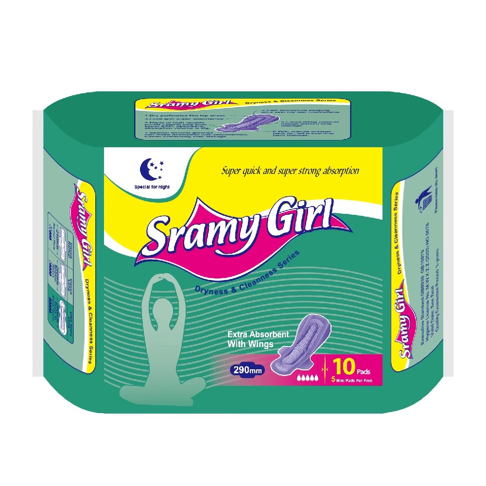 Sanitary Napkin Factory