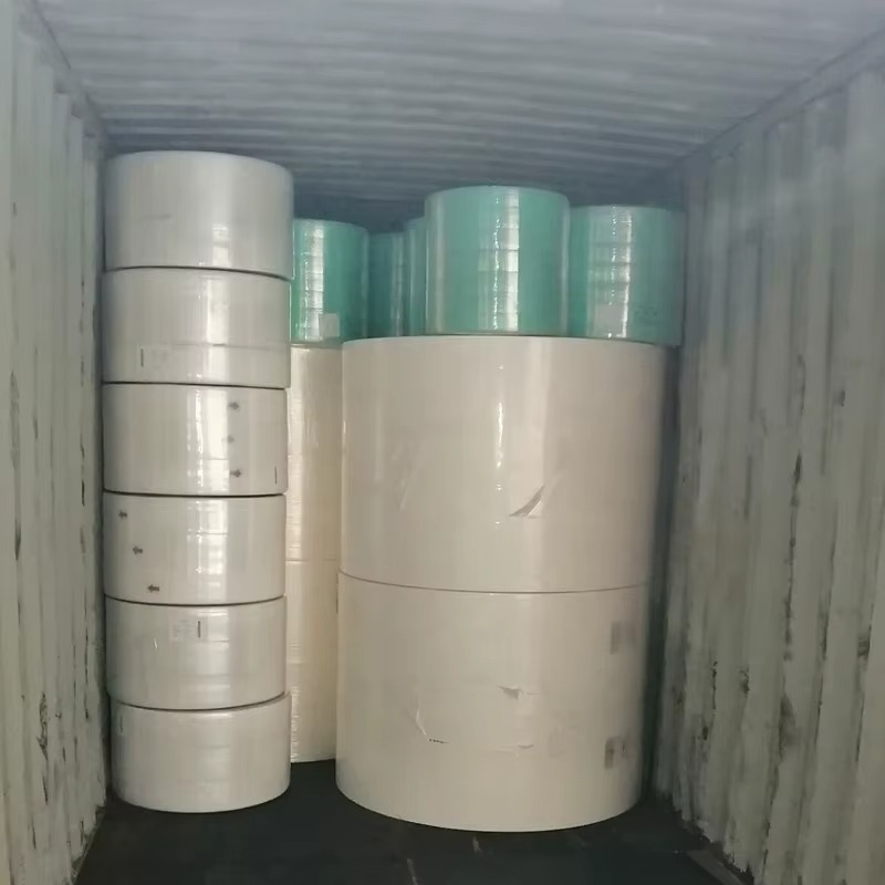 ADL  Acquisition Distribution Layer for Sanitary Napkins (3).jpg